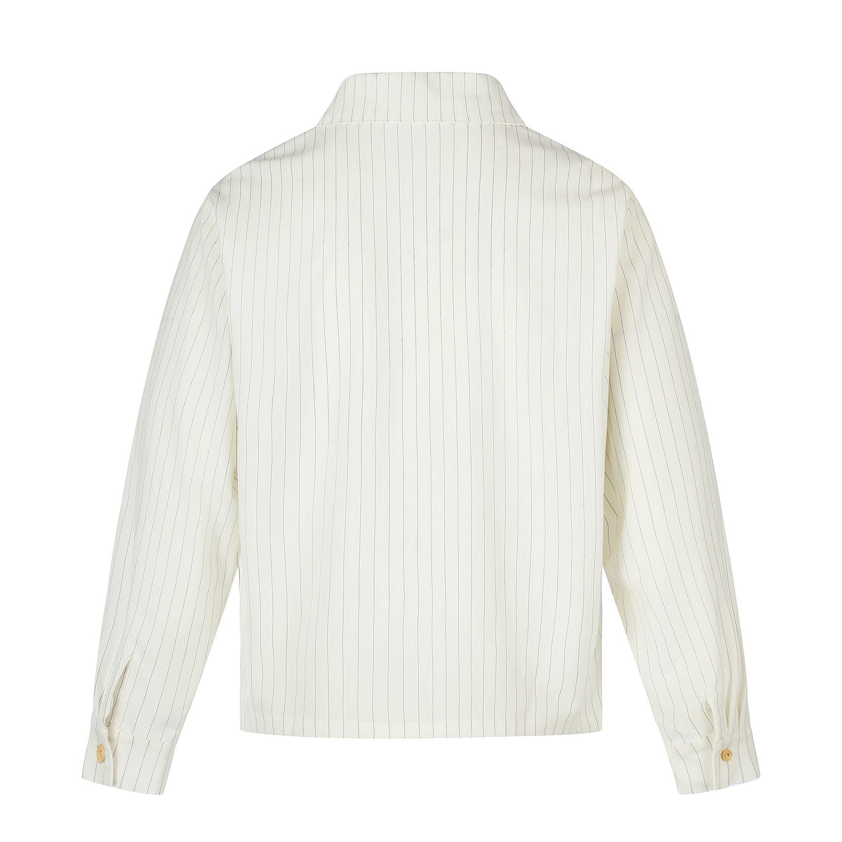Pinstripe Button long Sleeve Shirt